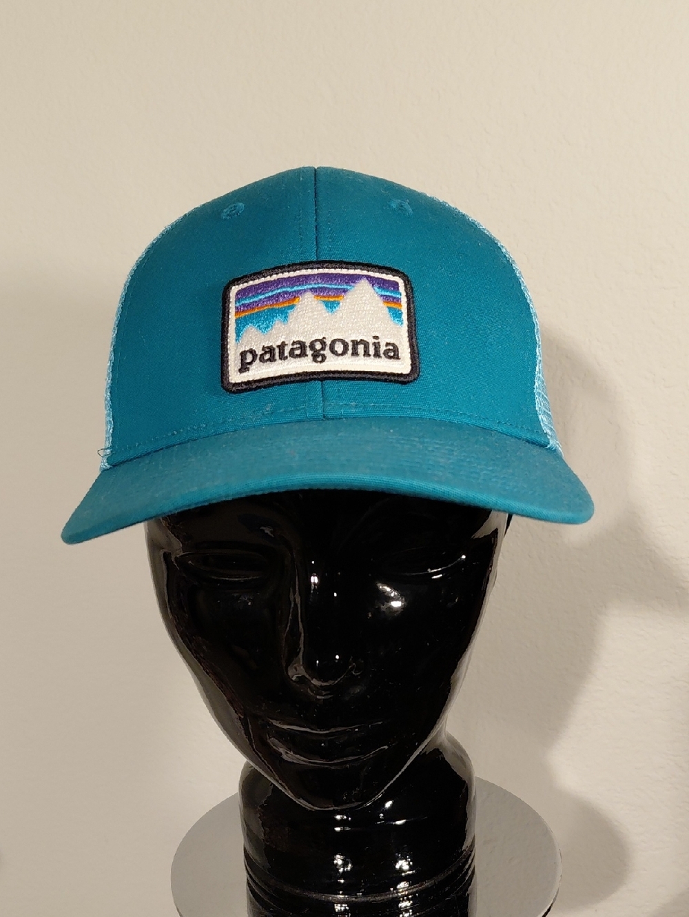 Patagonia Teal Mesh Trucker Cap